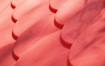 Bowyers Common plastic roof costs